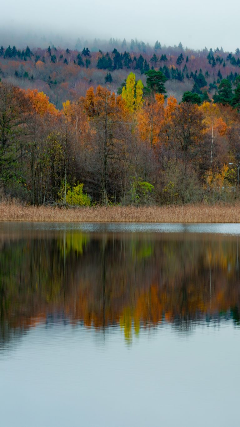 Tranquil autumn scene showcasing a vibrant forest reflecting on a calm lake.